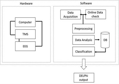 Introducing a Novel Approach for Evaluation and Monitoring of Brain Health Across Life Span Using Direct Non-invasive Brain Network Electrophysiology